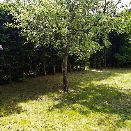 Dom Nad Jeziorem Сasa de vacaciones Giżycko